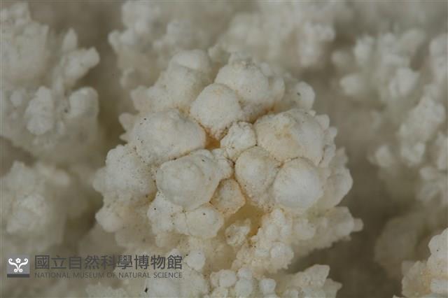 方解石藏品圖，第3張