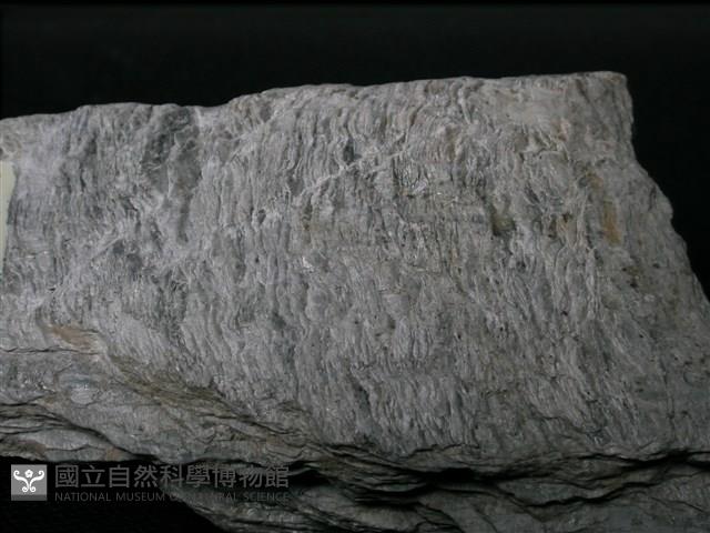 片岩藏品圖，第4張