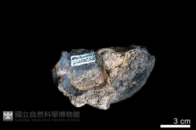 錳核藏品圖，第3張