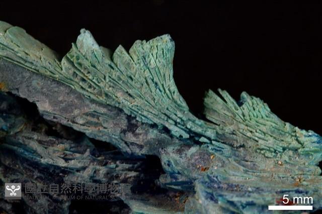 膽礬藏品圖，第4張