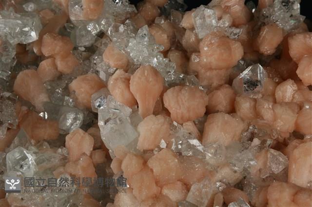 魚眼石/輝沸石藏品圖，第3張