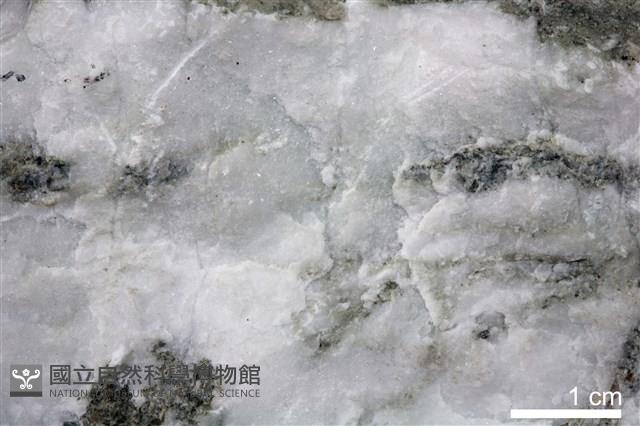 石膏藏品圖，第3張