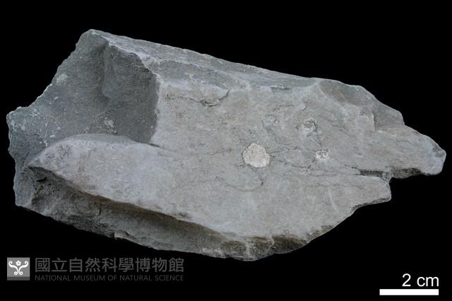 頁岩藏品圖，第3張