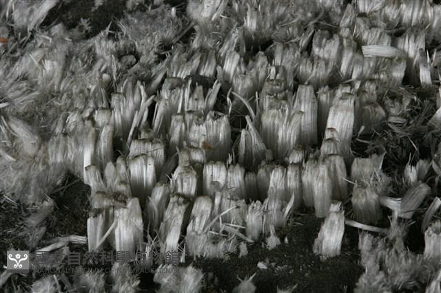 石膏藏品圖，第3張