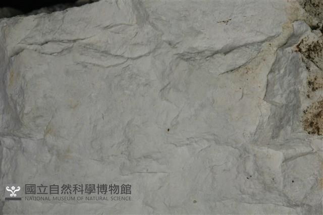白雲石藏品圖，第3張
