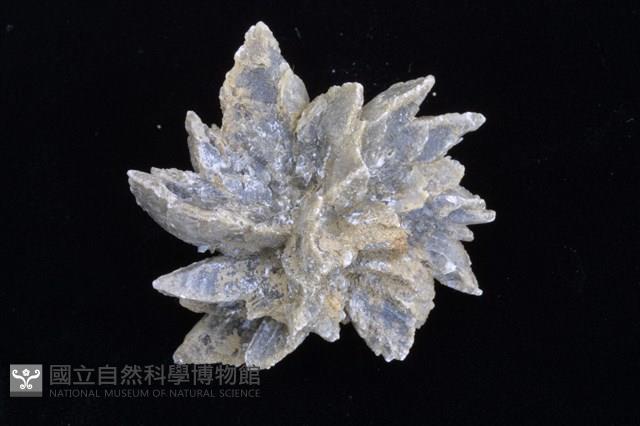 石膏藏品圖，第3張