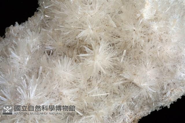 透石膏藏品圖，第3張