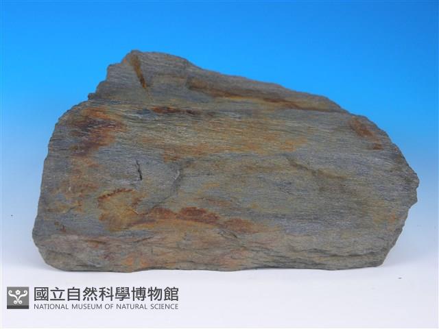 黑色片岩藏品圖，第3張