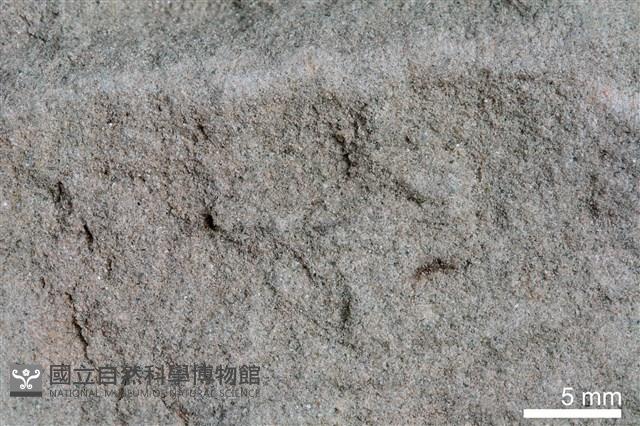 長石砂岩藏品圖，第3張