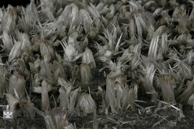 石膏藏品圖，第3張