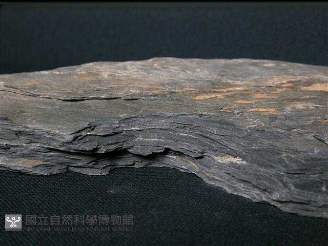 片岩藏品圖，第3張
