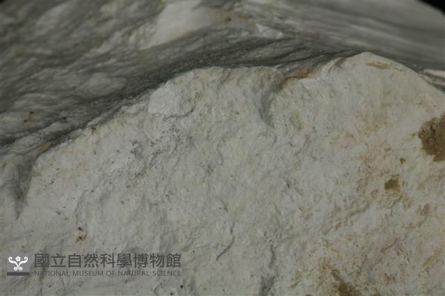 白雲石藏品圖，第3張