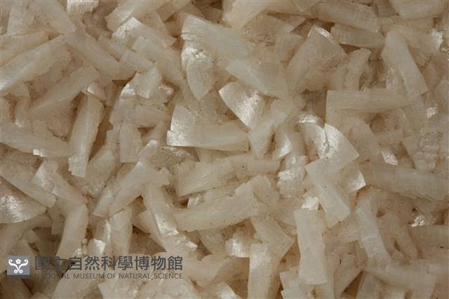 白雲石藏品圖，第3張