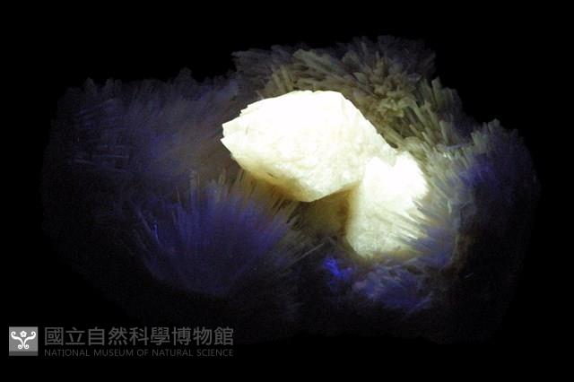 鉬鈣礦/中性針沸石藏品圖，第3張
