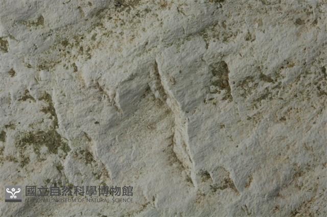白雲石藏品圖，第3張