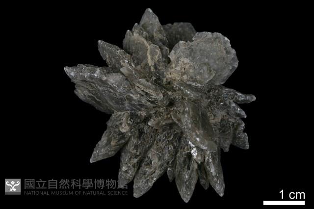 石膏藏品圖，第3張