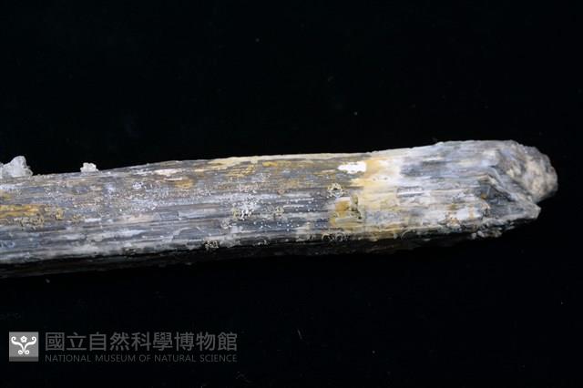 黃銻華 藏品圖，第3張