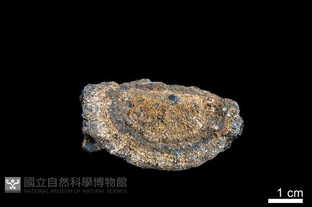 錳核藏品圖，第3張
