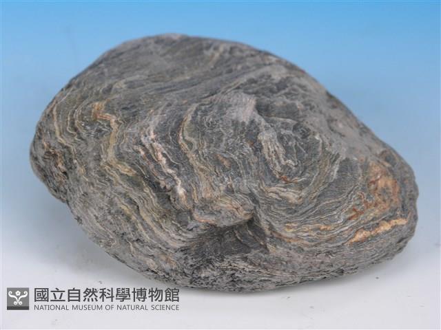 黑色片岩藏品圖，第3張