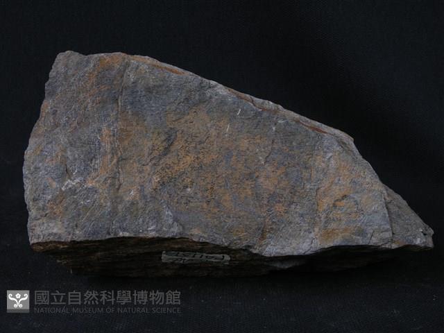 藍色片岩藏品圖，第3張