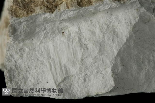 白雲石藏品圖，第3張