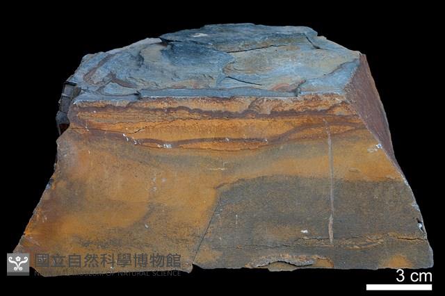 粉砂岩藏品圖，第3張
