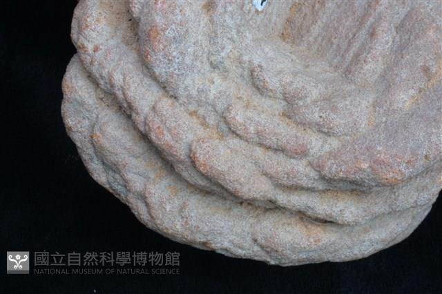 重晶石藏品圖，第3張
