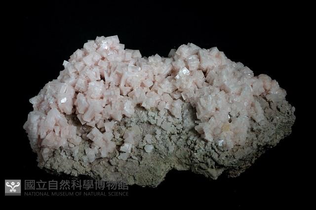 鹽岩藏品圖，第3張