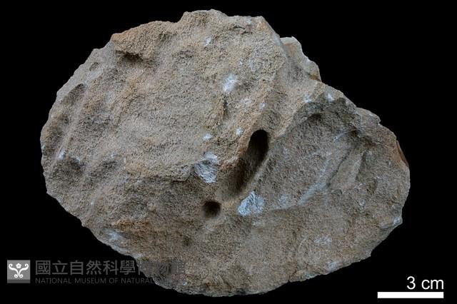 砂岩藏品圖，第3張