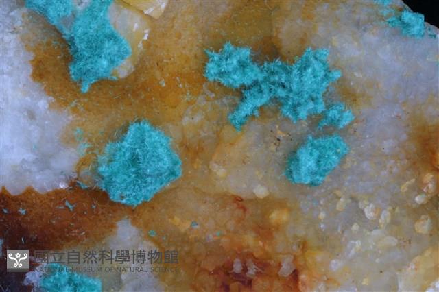 水膽礬藏品圖，第3張