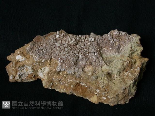 北投石藏品圖，第3張