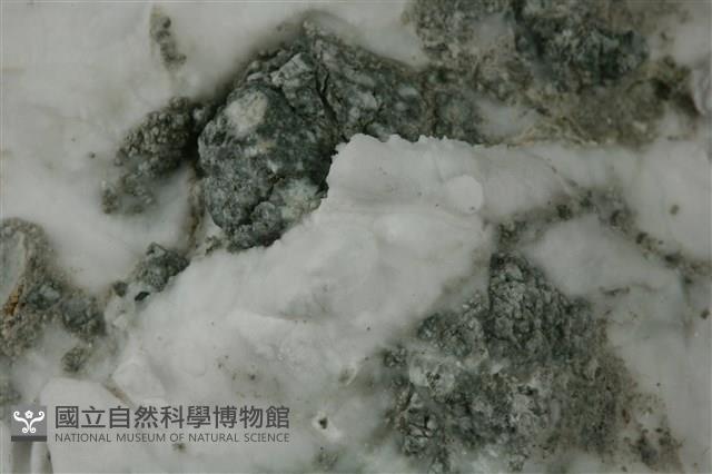 石膏藏品圖，第3張