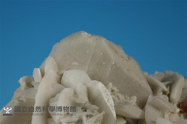 石膏藏品圖，第3張