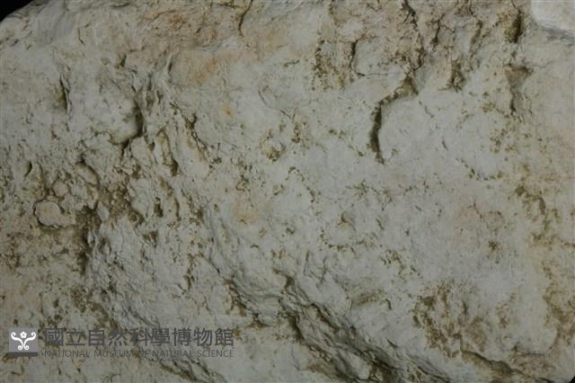 白雲石藏品圖，第3張