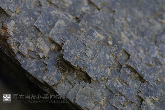 菱鐵礦藏品圖，第13張