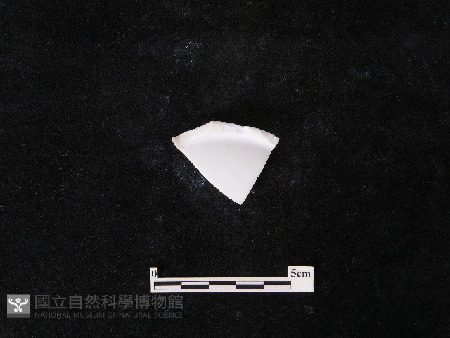 瓷片藏品圖，第1張
