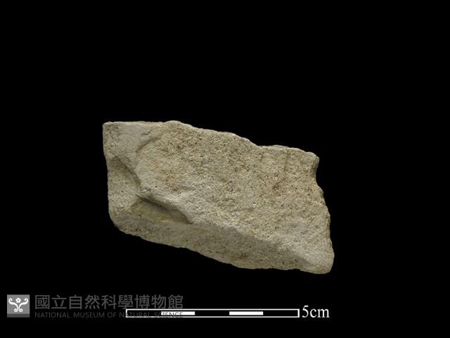 斧鋤形器藏品圖，第2張