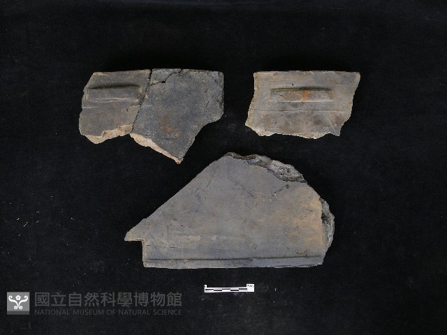 瓦片藏品圖，第1張