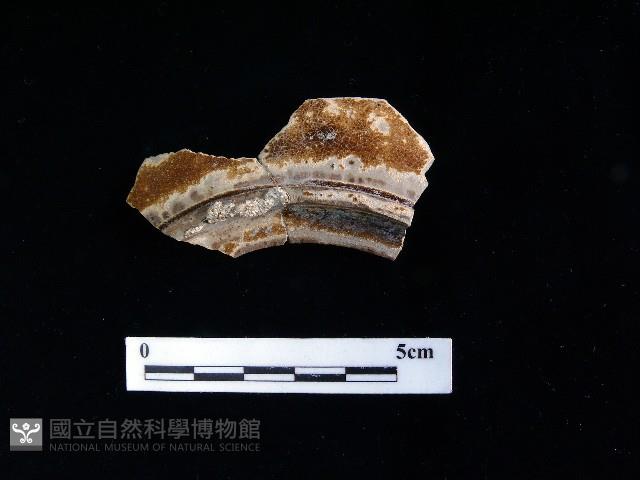 陶壺藏品圖，第2張