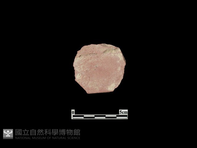 玩具藏品圖，第2張