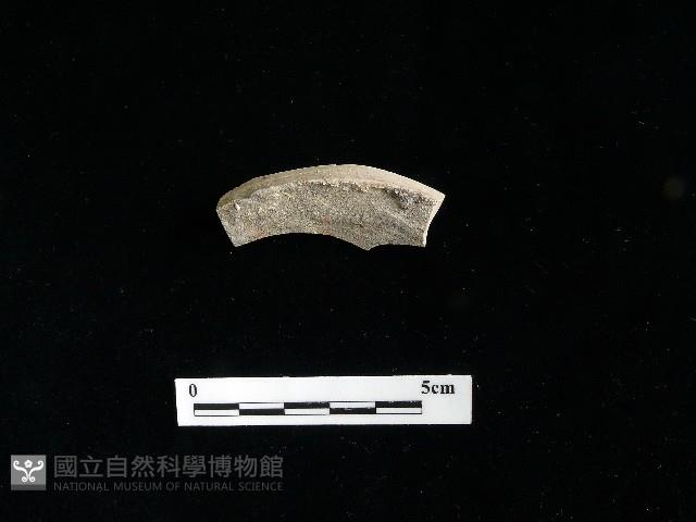 陶片藏品圖，第1張