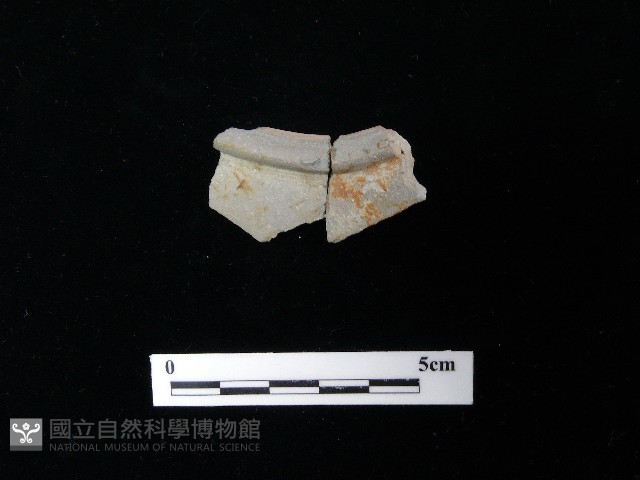 陶片藏品圖，第1張
