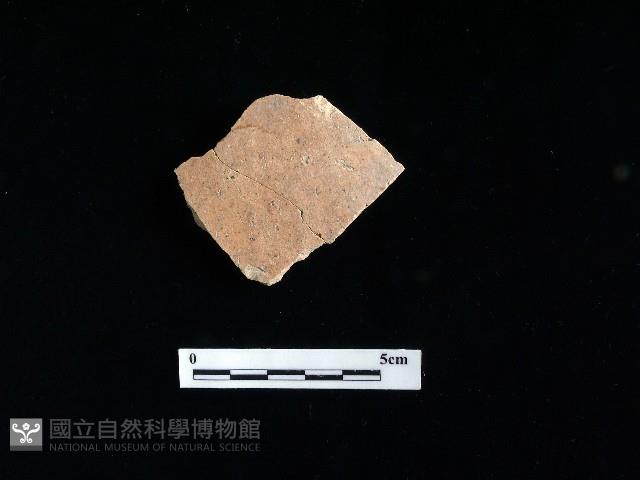 陶片藏品圖，第1張