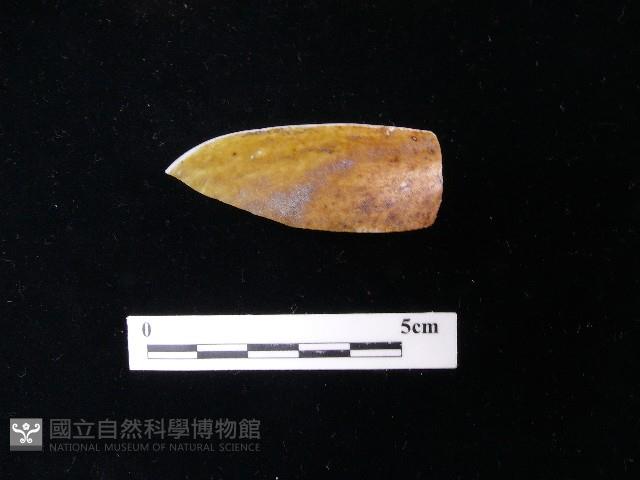 湯匙藏品圖，第1張