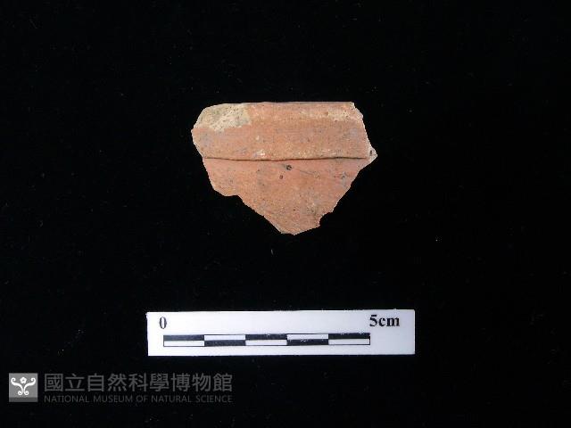 陶片藏品圖，第1張