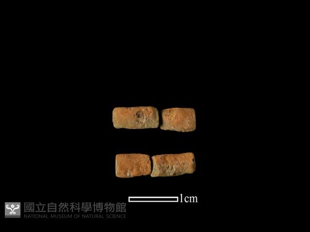 陶環藏品圖，第1張