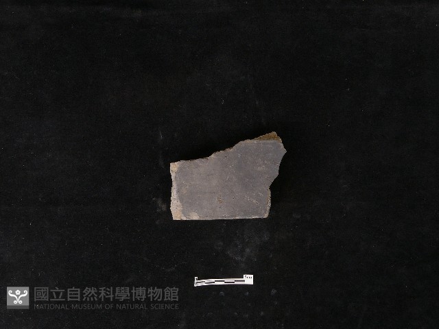 瓦片藏品圖，第1張