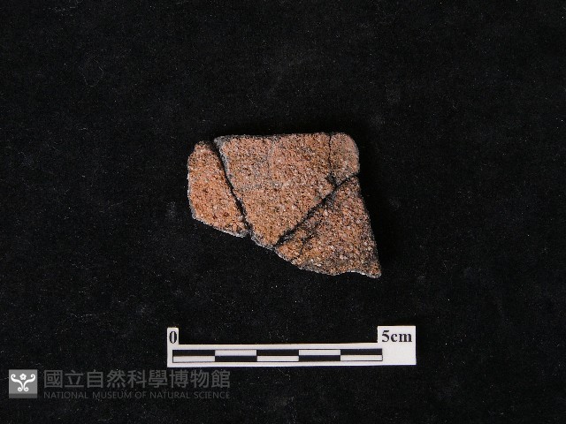 陶片藏品圖，第2張