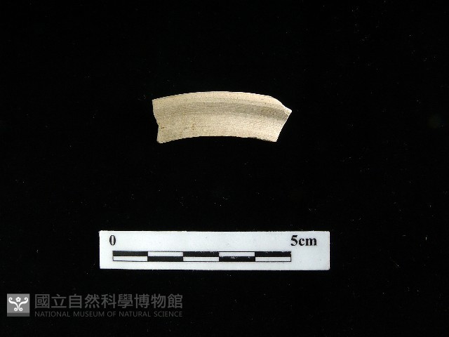 壺蓋藏品圖，第1張
