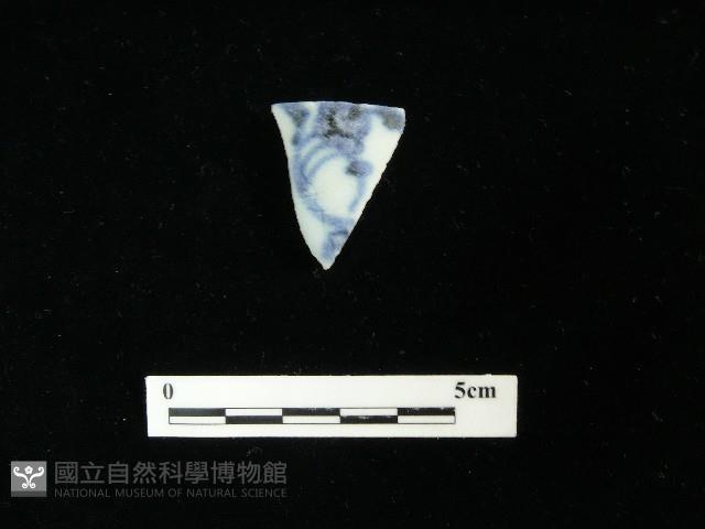 瓷片藏品圖，第1張